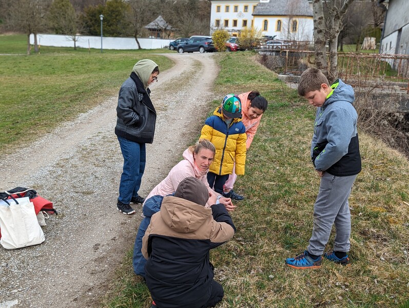 25 03 2025 workshop insekten