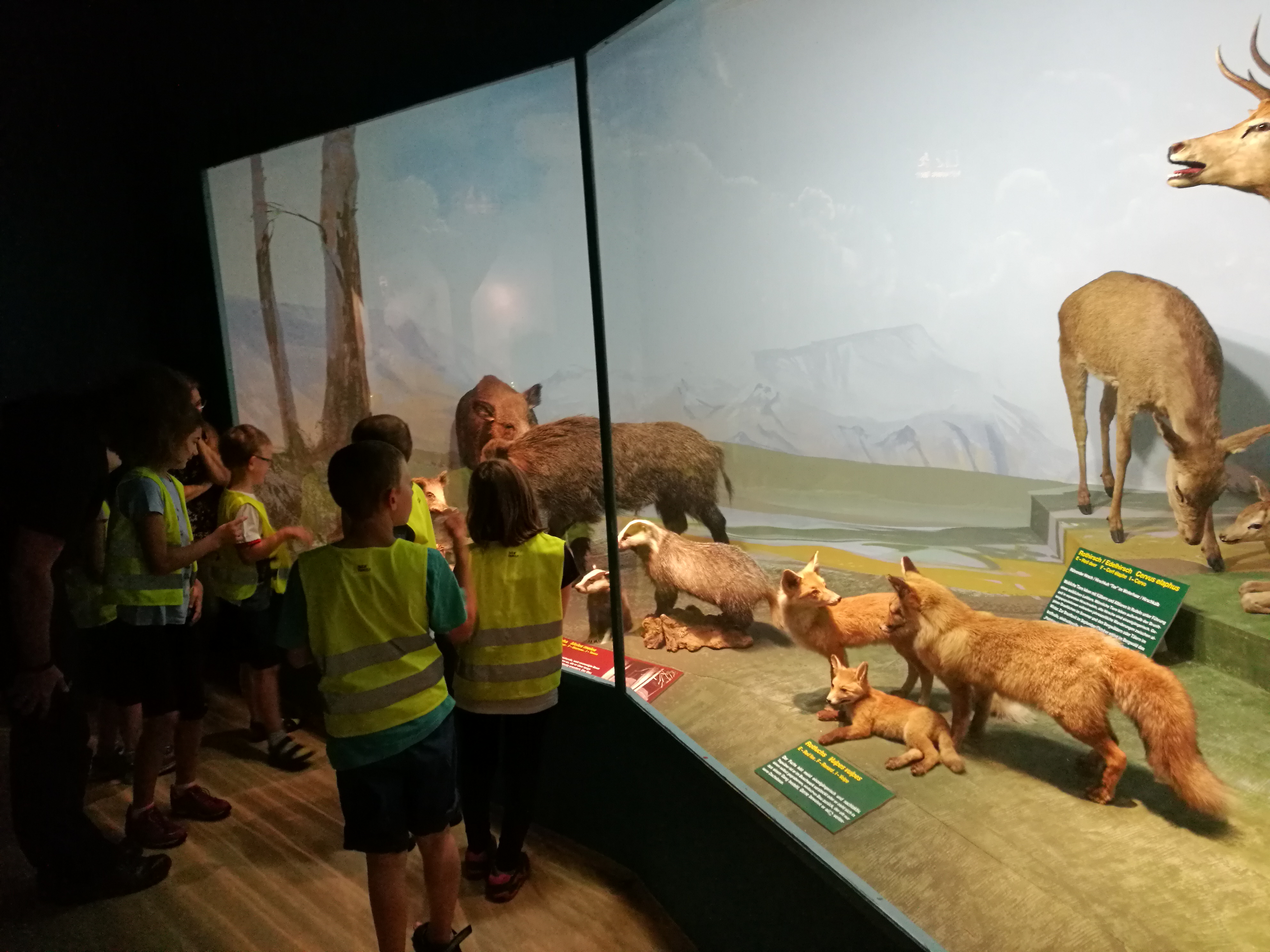 FÖ1 und FÖ2 im „Haus der Natur“ Allgemeine Sonderschule